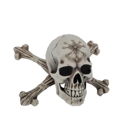 3D model of a white skull with black eye sockets, a cracked forehead with a star-like emblem, and two crossed bones behind it