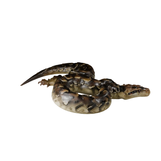 Modelo 3D Realista de Boa Constrictor - Activo PBR Riggeado para Juegos