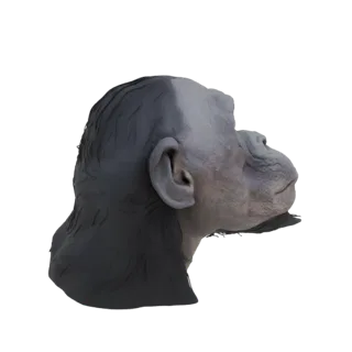 Side profile view of a realistic 3D model of a chimpanzee's head, showing detailed facial features and fur texture.