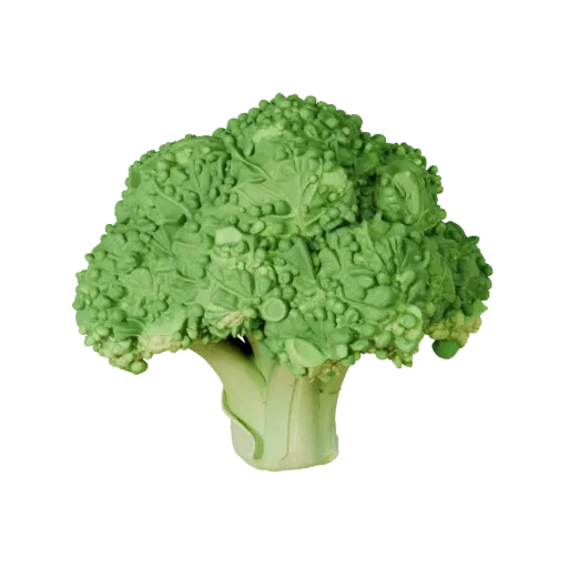 Chopped Broccoli Head Printable 3D model, isometric STL render, showing leaf veins, clear vegetable silhouettes.