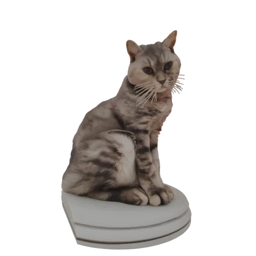3D model of a grey tabby cat sitting on a white circular base, with detailed fur and a curious expression.