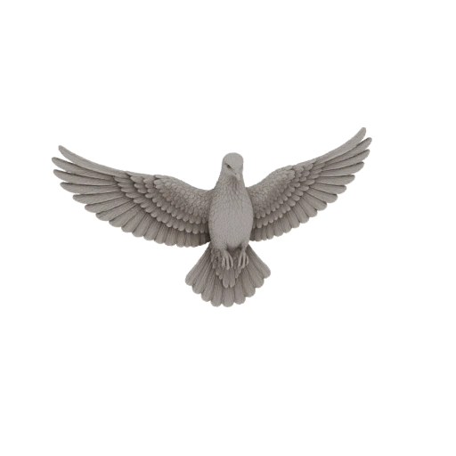 Dove of Peace 3D Model