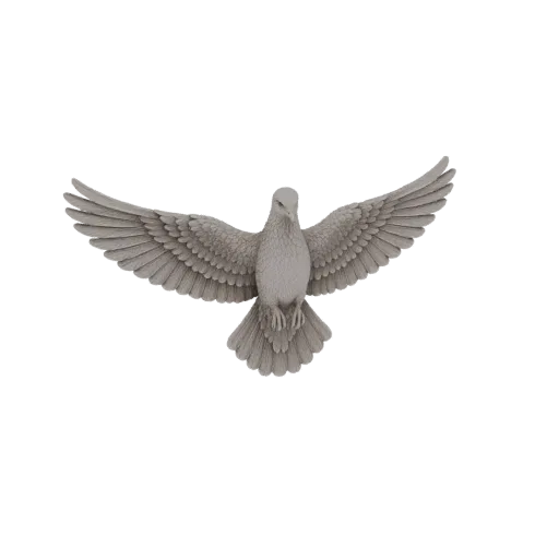 3D model of a white dove in flight with wings spread wide, against a black background.