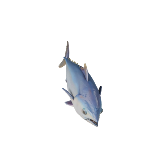Thunfisch 3D Modell für Blender - PBR Asset mit Texturen | Lizenzfrei