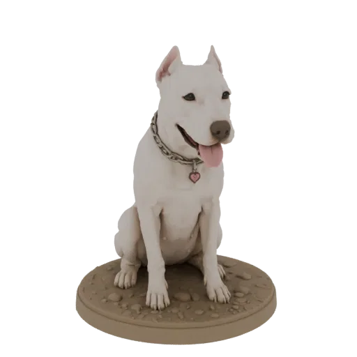 3D model of a white Dogo Argentino dog sitting on a stone-textured base, wearing a chain collar with a heart tag.