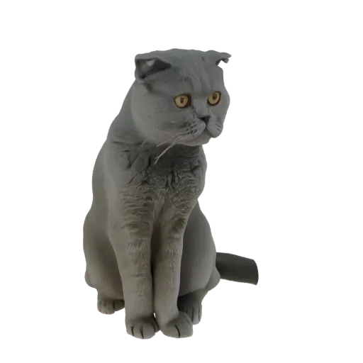 Um modelo 3D de um gato Scottish Fold cinza sentado olhando ligeiramente para o lado, com suas orelhas dobradas característic