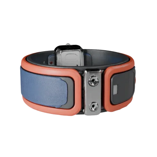 Fitness Style Band Modular 3D model, isometric modular kit view, showing silicone, wearable fit.