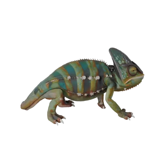 Realistic Chameleon 3D Model - Rigged PBR Asset for Games | PBR