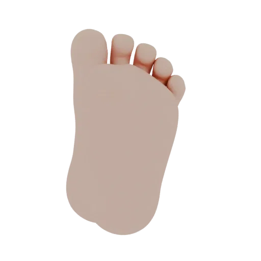 3D model of a baby's foot showing toes and curves, on a black background.
