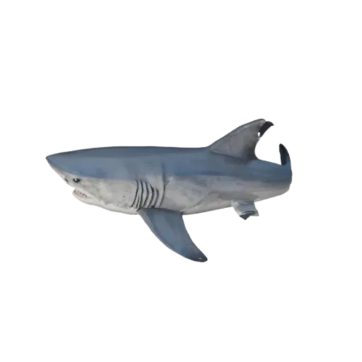Low Poly Hammerhead Shark 3D Modell, Gameplay-Kamera Seitenansicht, Low-Poly-Tier-Asset mit Oberflächenaufteilung, Flossenwur