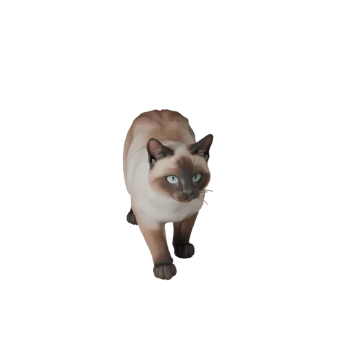 Siamese Cat 3D Model for Blender - PBR Asset with Textures