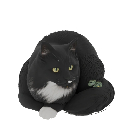 Tuxedo Cat 3D Model