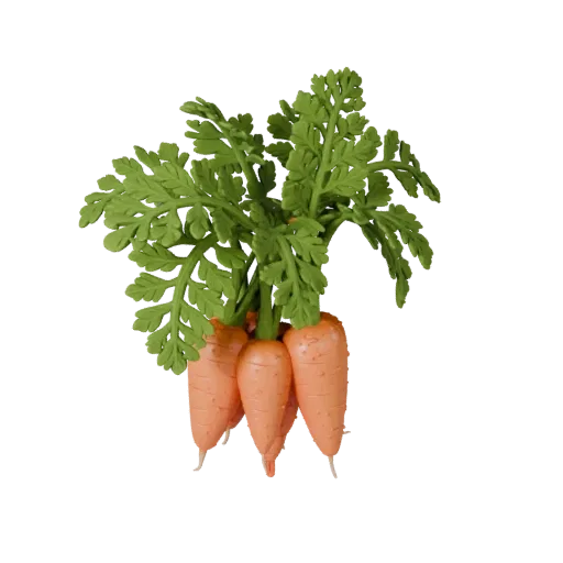 Garden Carrot Bunch Printable 3D model, isometric STL render, showing leaf veins, clear vegetable silhouettes.