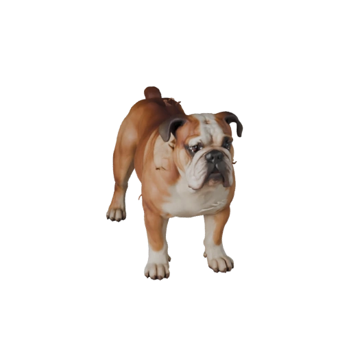 Modello 3D Cane Bulldog Realistico - Asset PBR Rigged per Giochi