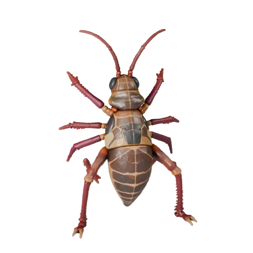 Grasshopper 3D Model for Blender - PBR Asset with Textures