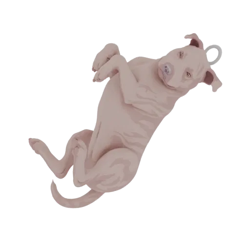 A 3D model of a light-colored pitbull dog lying on its back with its paws in the air, looking up with a playful expression.