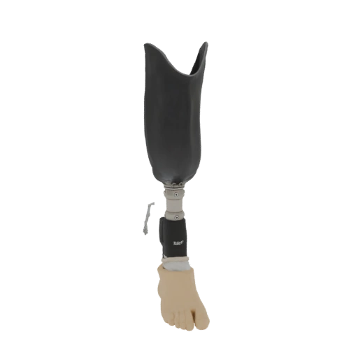 Prosthetic Leg with Foot