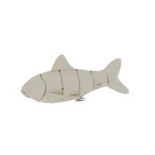 3D model of a segmented crucian carp, composed of separate parts, on a black background