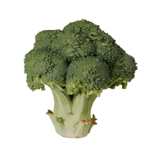 Organic Broccoli Head Realistic 3D model, three-quarter studio render, showing leaf veins, clear vegetable silhouettes.