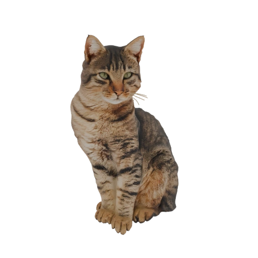 Tabby Cat Sitting 3D Model