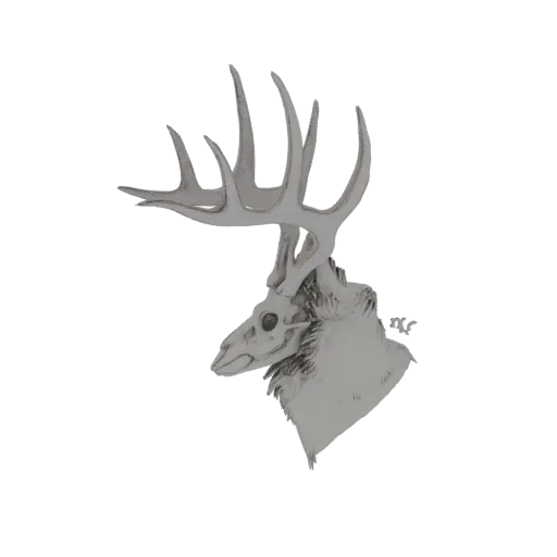 A detailed 3D model of a stag's skull with large, branching antlers, presented in grayscale.