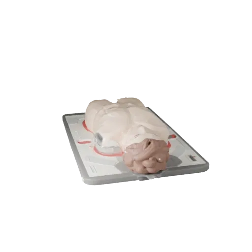 Field CPR Torso Trainer Stylized 3D model, stylized isometric render, showing neutral plastics, training device layout.