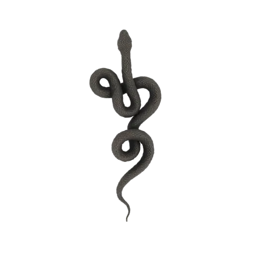 A dark, detailed 3D model of a serpent coiled in an S-shape, with its head raised.