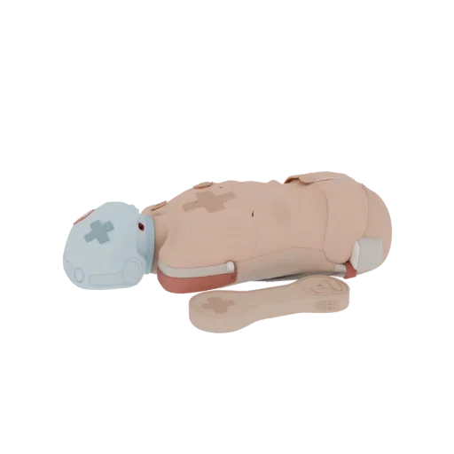 First Aid CPR Torso Trainer Printable 3D model, isometric STL render, showing neutral plastics, training device layout.