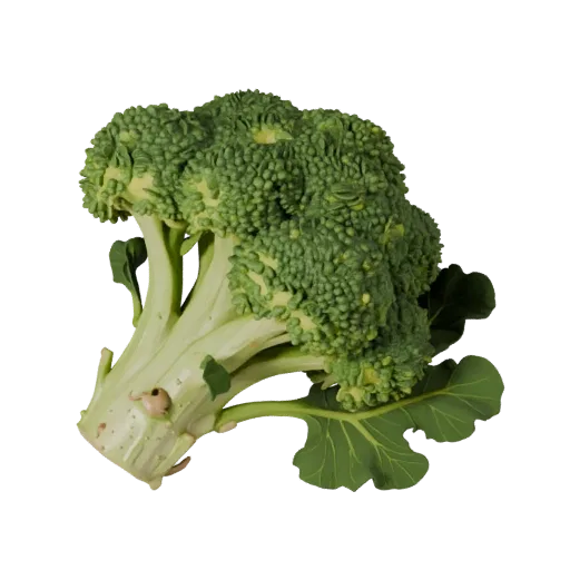 Market Broccoli Head Stylized 3D model, stylized isometric render, showing leaf veins, clear vegetable silhouettes.