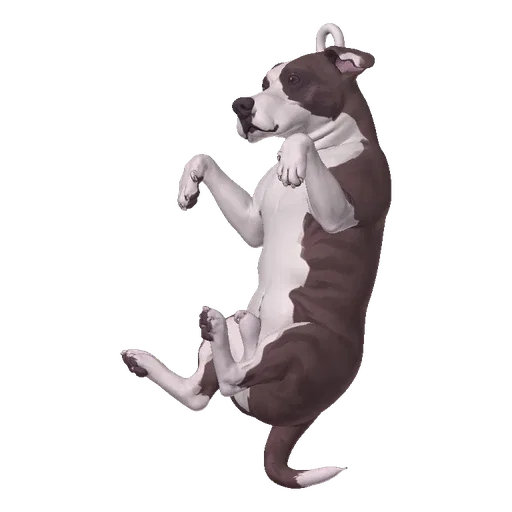 3D model of a white and brown Pitbull puppy lying on its back with paws in the air, designed as an ornament.