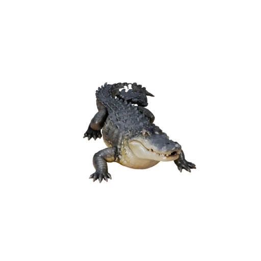 Modello 3D Alligatore per Unity - Asset Pronto per il Gioco, FBX | Royalty-Free