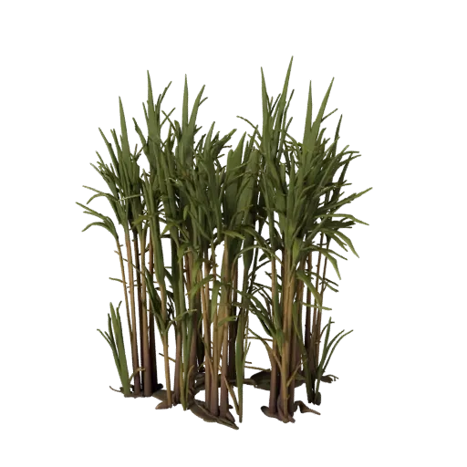 Reed And Cattail Bank Realistic 3D model, three-quarter environment render, showing leaf clusters, terrain detail.
