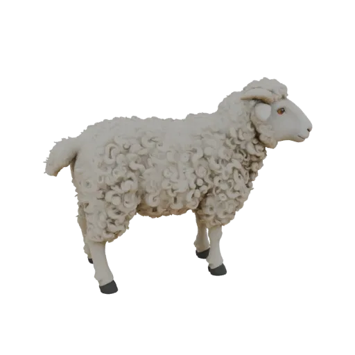 3D model of a white sheep with curly wool, standing on four legs, with a detailed face and a small tail.