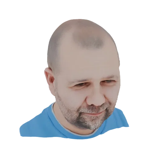 3D model of a bald man with a beard, wearing a blue t-shirt, viewed from a slightly high angle.