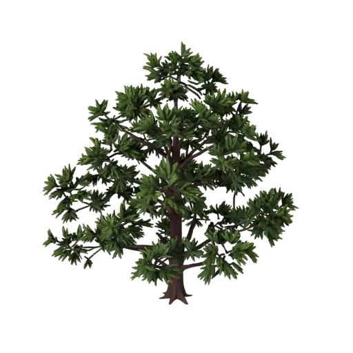 Pine Forest Pack Stylized 3D model, stylized isometric environment render, showing leaf clusters, terrain detail.