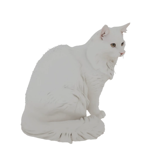 White Cat 3D Model