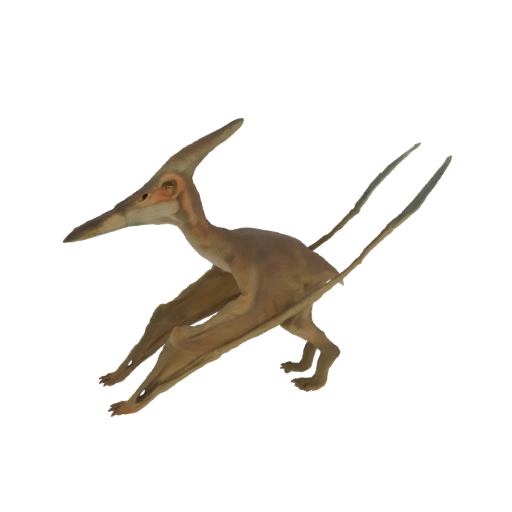 Pterodactylus Flying Dinosaur 3D Model