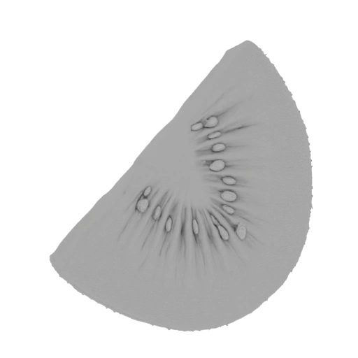 Kiwi Slice 3D Model