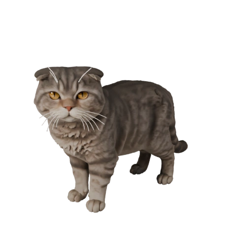 Modèle 3D Scottish Fold Réaliste - Asset PBR Riggué pour Jeux