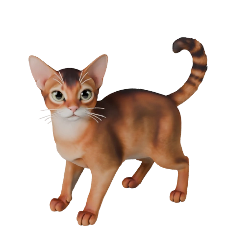 Modèle 3D de Chat Abyssin Dessin Animé - Asset Stylisé pour Animation