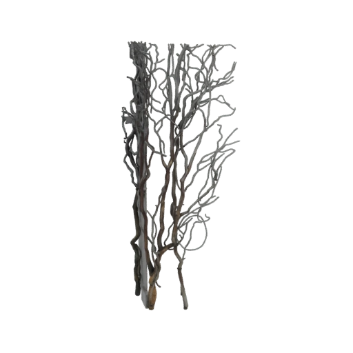 Twisted Branch Sculpture