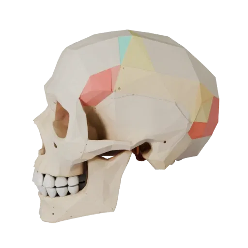 Joint Skull Low Poly 3D model, game viewport three-quarter view, showing bone surfaces, skeletal landmarks.