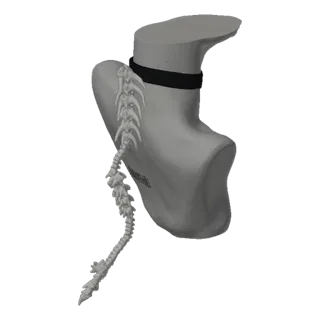 Render 3D di una coda vertebrale anatomica grigia che si estende da un choker nero, su sfondo nero.