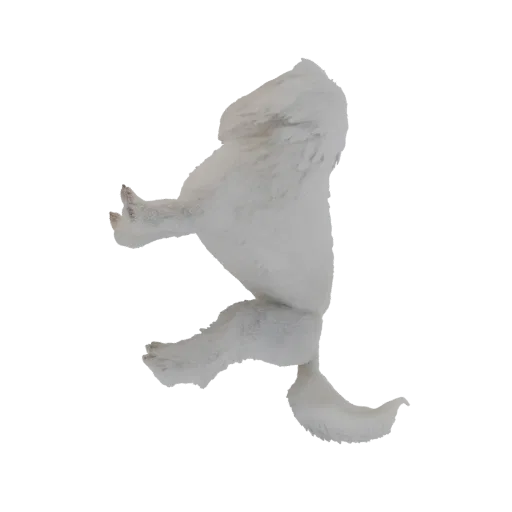 3D model of a white arctic fox in a dynamic mid-stride pose, with detailed fur texture and a bushy tail.