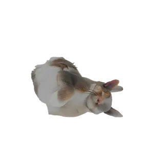 A 3D render of a cute bunny sleeping on its back with its paws in the air, showcasing its soft fur and peaceful expression.