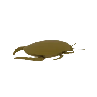 3D model of a predatory aquatic water bug with large grasping forelegs, shown from a side profile against a white background.