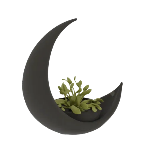 3D model render of a dark grey crescent moon planter holding a small green plant.