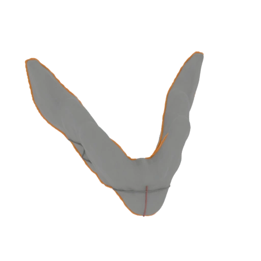 Human Mandible 3D Model