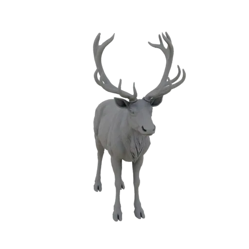 A detailed 3D model of a majestic reindeer with large, branching antlers, standing on a white background.