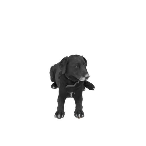Black Labrador Retriever 3D Model